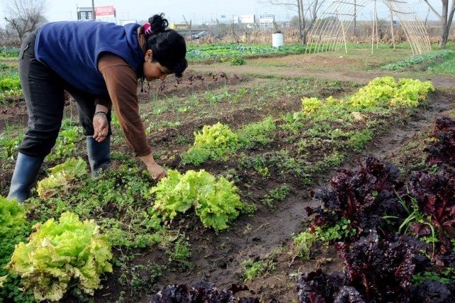 Proponen duplicar la zona de producción agroecológica en Santa Fe