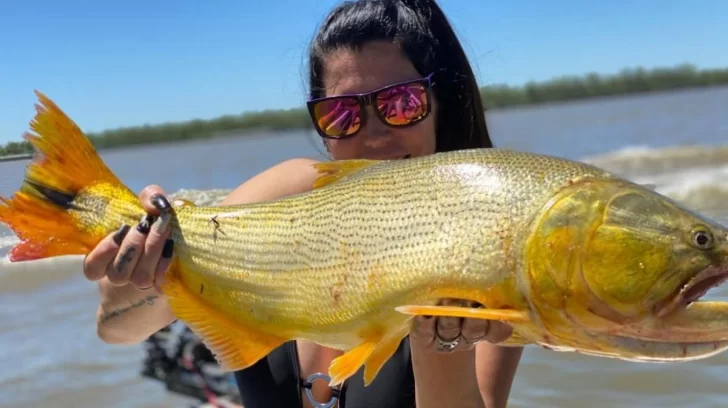 Pescadores experimentados apuntan el gran pique de dorados y tarariras en Gaboto