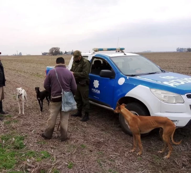 Sancionaron a dos hombres de Barrancas cazando sin autorización