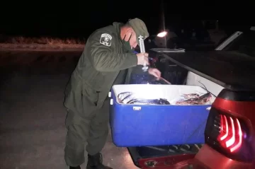 Decomisaron más de 100 kilos de pescado en Barrancas y un hombre fue sancionado