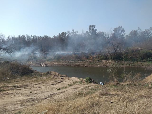 Los incendios forestales no cesan: Hoy hubo en Gaboto, Oliveros y Monje