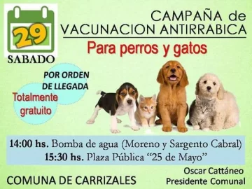 Carrizales: Vacunarán a perros y gatos contra la rabia