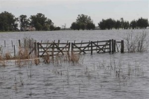 Por unanimidad la Cámara de Senadores pidió la Emergencia Hídrica