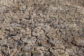 Serodino solicitó su inclusión en la emergencia agropecuaria