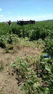 Despistó en autopista y terminó volcando en un campo de soja