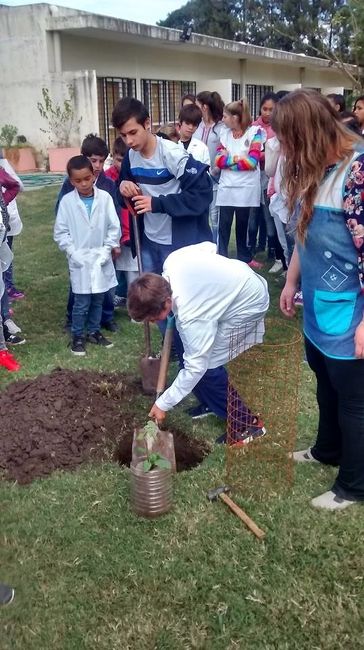 Plantaron los árboles que pueden salvar al mundo