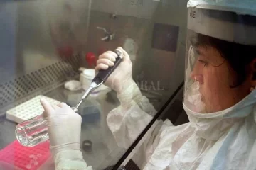 Atención: Recomendaciones acerca de la bacteria del Estreptococo