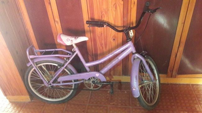 Bicicleta encontrada en la Primaria busca su pequeña dueña Bicicleta encontrada en la Primaria busca su pequeña dueña
