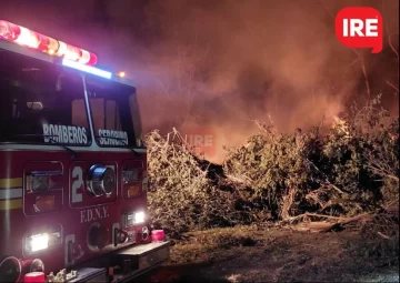 Anoche se desató un importante incendio en Andino que nubló la localidad