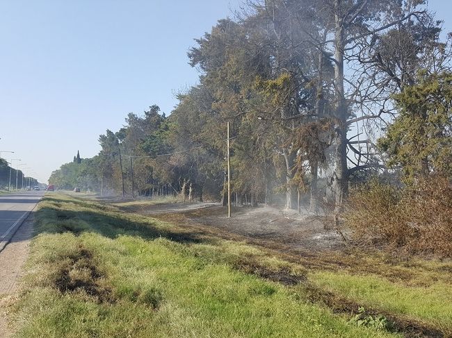 Se produjo un incendio de gran magnitud en un campo sobre ruta 11