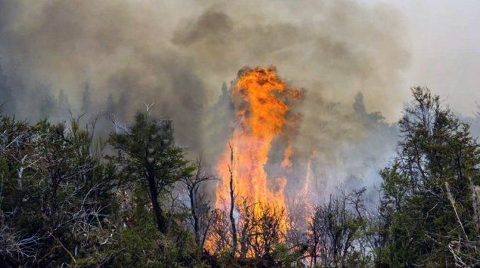 Importante incendio en una cava de escamonda comunal: Fue intencional