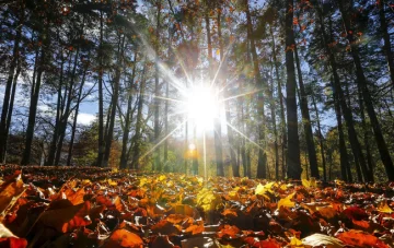 El otoño ya se empieza a sentir: bajan las termperaturas mínimas