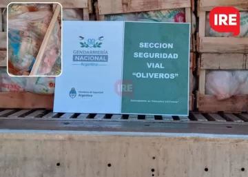 Gendarmería decomisó un camión con 4000 kilos de pollos en autopista