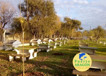Puerto Aragón: Iniciaron una reforestación en el camping y balneario