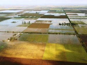 El Banco Nación dará una charla para productores agropecuarios por la crisis en el sector