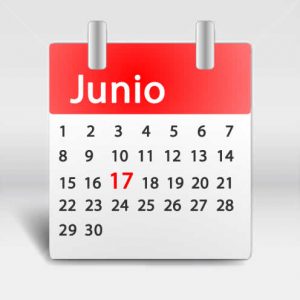 El Senado define si el 17 de junio es feriado. Al Gobierno Nacional no le agrada la iniciativa