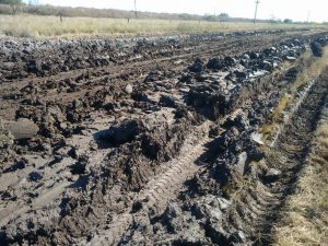 Carrizales recibió fondos de la provincia para el arreglo de caminos comunales