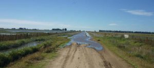 Santa Fe declaró la emergencia vial en todo el territorio provincial