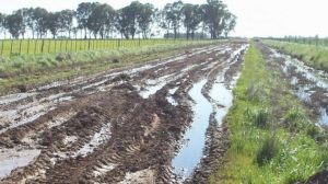 La provincia destinará 300 millones de pesos para recuperar los caminos rurales