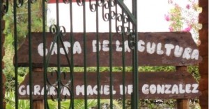 Cursos y talleres en la Casa de la Cultura de Maciel