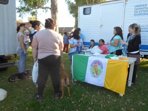 Serodino: se realizó una campaña de castración gratuita