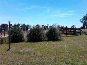 La comuna extiende la red de agua para los lotes “Andino” La comuna extiende la red de agua para los lotes “Andino”