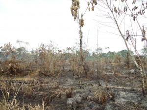 Incendio en el Frigorífico Maciel: bomberos de Barrancas extinguieron el fuego