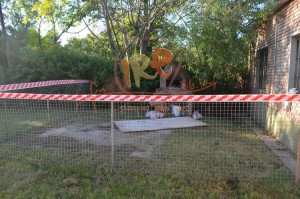 Se desmoronó un pozo ciego en la escuela de Villa La Ribera