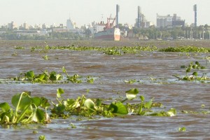 La Nación decretó el “estado de emergencia hídrica” y Santa Fe está incluido