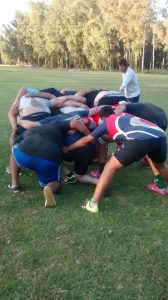 Buenos resultados para el rugby local en un triangular disputado en Casilda