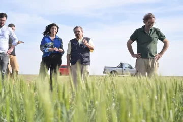 García pidió la Emergencia Agropecuaria frente a la sequía que pone en riesgo la cosecha de trigo