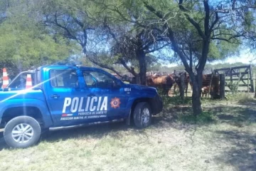 Abigeato en Monje: Ingresaron a un campo en la madrugada y faenaron cuatro vacas