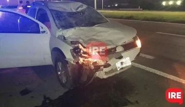 Fortísimo choque de una mujer de Andino contra un caballo en autopista