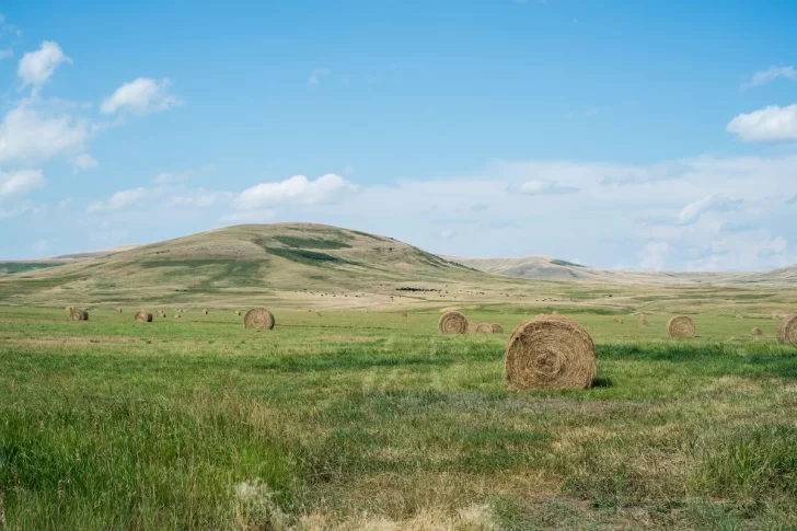 La actualidad del campo en Rosario