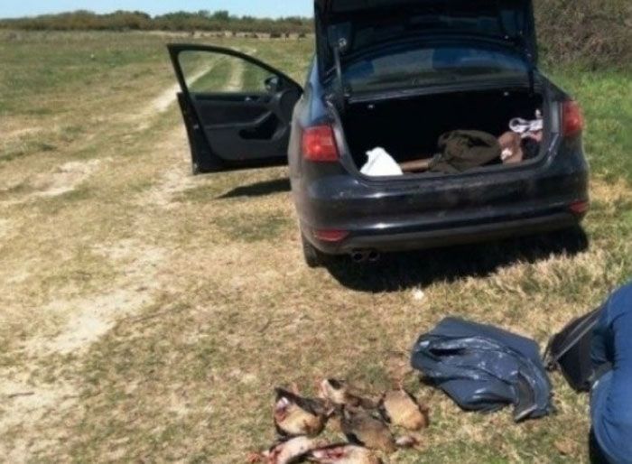 Sancionaron a tres hombres por caza ilegal en Puerto Aragón