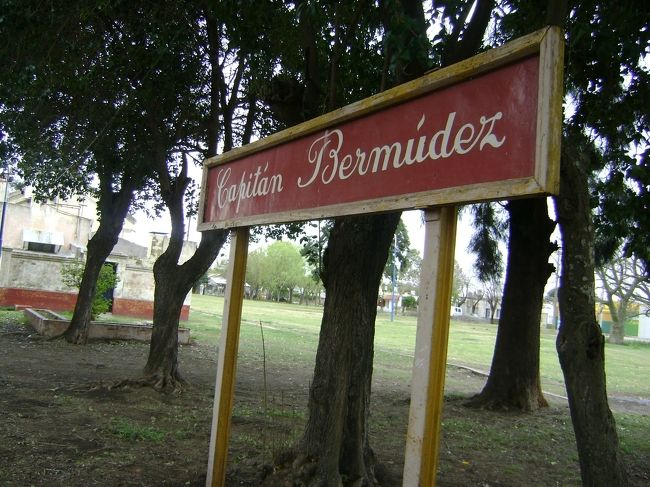 Capitán Bermúdez: Fue talado un retoño del Pino Histórico