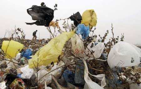 Entregan eco bolsas a cambio de un alimento no perecedero