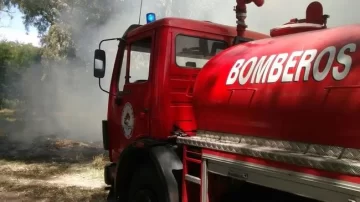 Se prendió fuego una palmera que estaba cerca de una casa