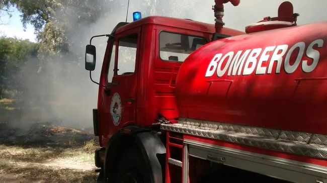 Se prendió fuego una palmera que estaba cerca de una casa