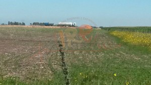 Medio ambiente controló los residuos arrojados en DHSH