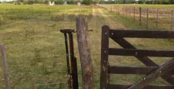 Serodino: Violentaron una puerta e ingresaron a robar a una casa en la zona rural