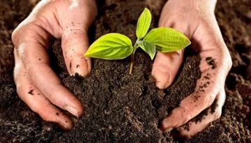 Monje propone una jornada de ecología y cine para las familias