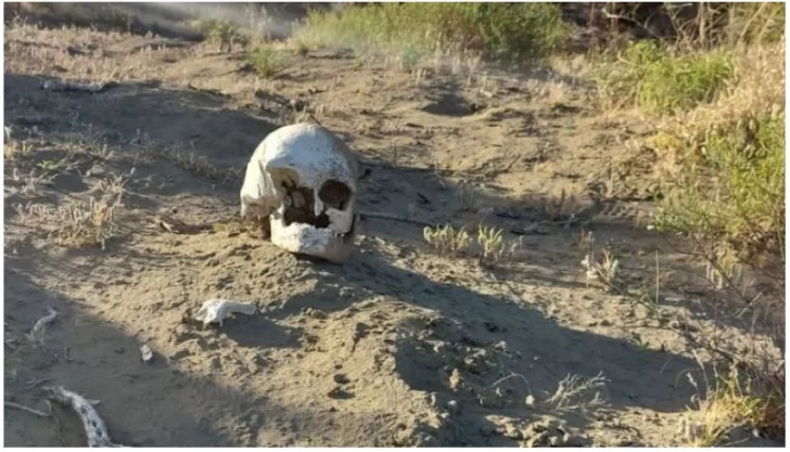 Macabro hallazgo: Un pescador encontró un cráneo humano en el arroyo Serodino