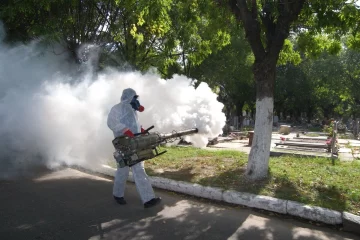 Protocolos contra el dengue: ¿Es conveniente la fumigación?