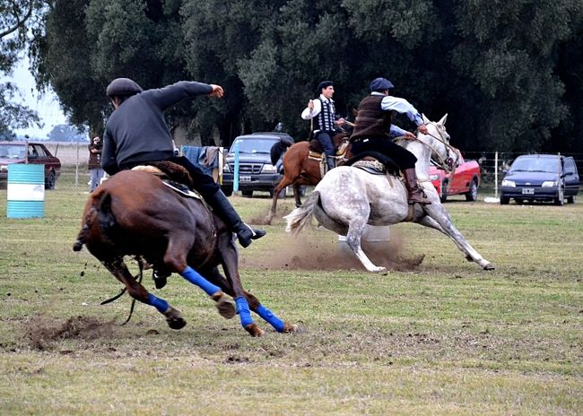 Se acerca un gran festival de destrezas criollas en Barrancas