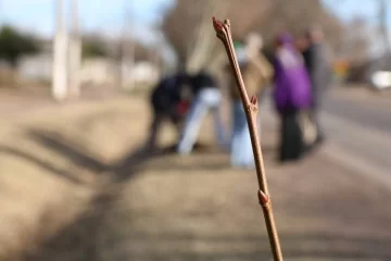 Futuro Verde: Barrancas proyecta sumar alrededor de 300 árboles