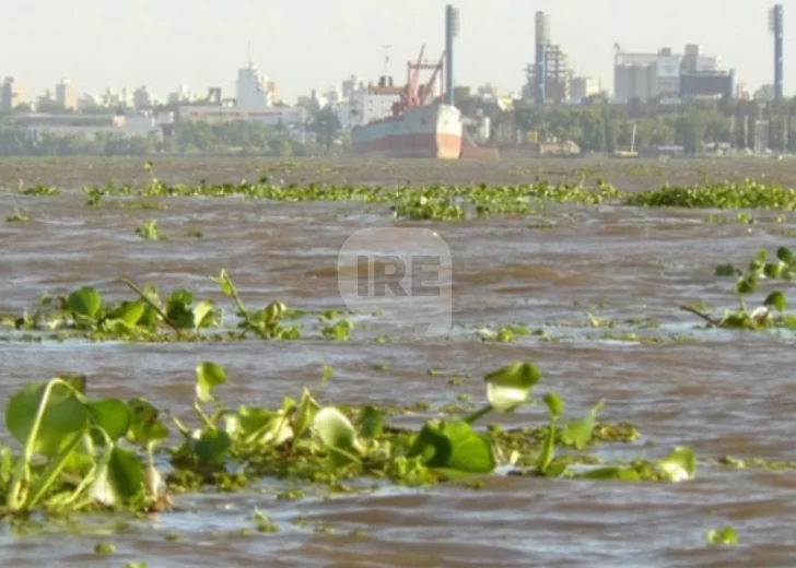 El río Paraná sigue subiendo, llegó a los 5,20 y piden extremar las precauciones