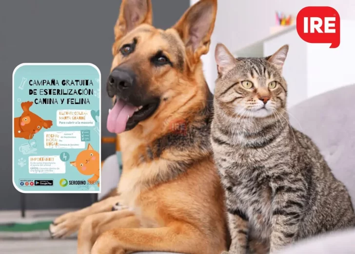Serodino convoca a una nueva campaña de esterilización gratuita para mascotas