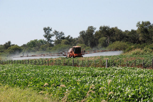 Una nena de dos años afectada por agroquímicos en la región