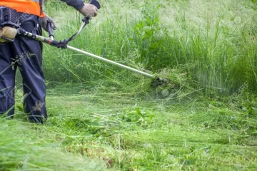 Puerto Gaboto autoriza el ingreso a propietarios para limpieza